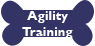 agility training
