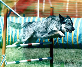 Hannah jumping