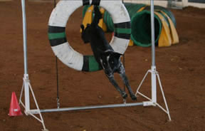jae jumping