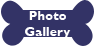 photo gallery