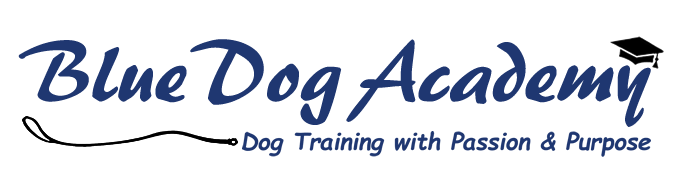 Blue Dog Academy