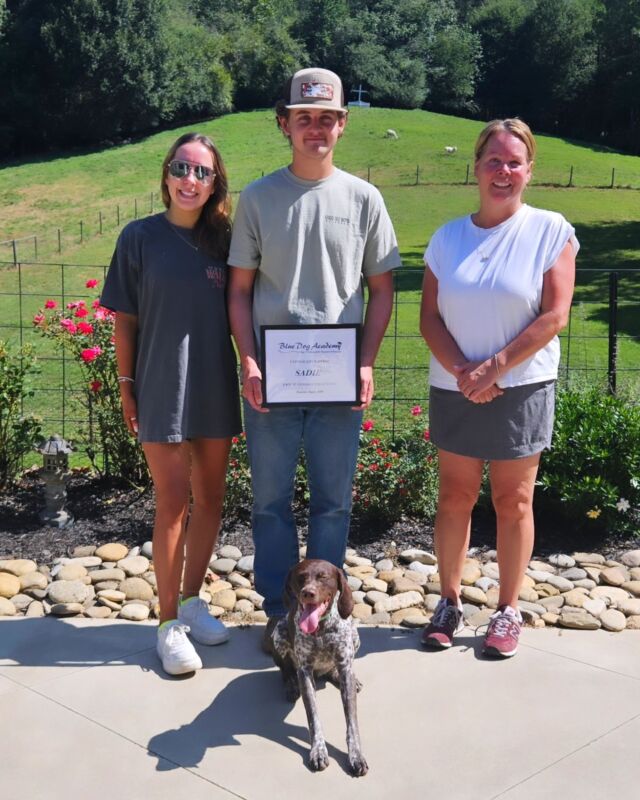 Sadie Clark graduates training camp 🎓🐾 
#dogtrainingcamp 
#gsp 
#dogsofinstagram 
#bluedogacademy